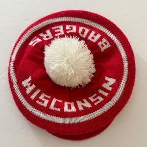 Vintage Wisconsin Badgers Red Knit Hat
